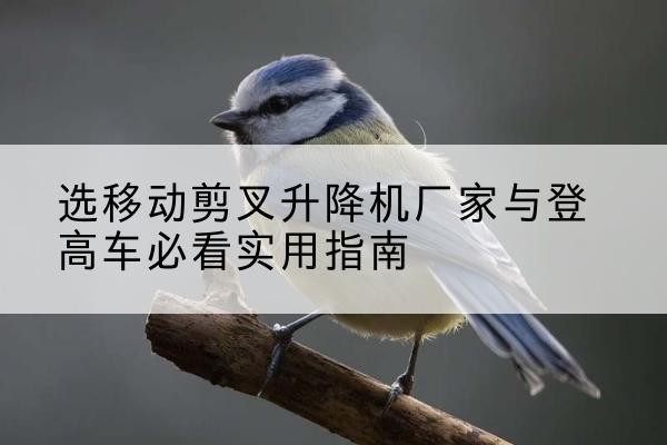 德清电动升降机厂家-选移动剪叉升降机厂家与登高车必看实用指南