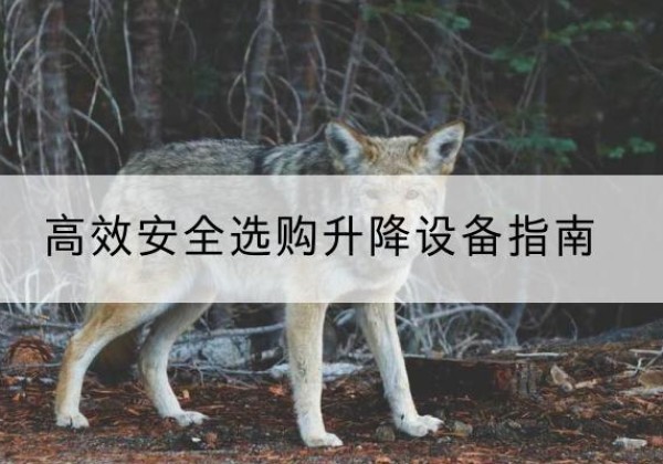 德清升降货梯厂家推荐-*安全选购升降设备指南