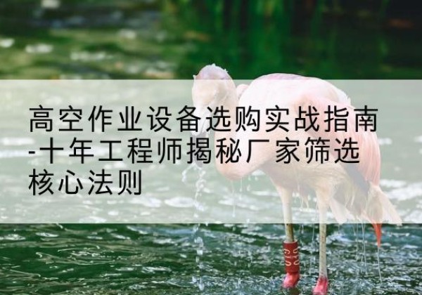 德清剪叉式升降机厂家-高空作业设备选购实战指南-十年工程师揭秘厂家筛选核心法则